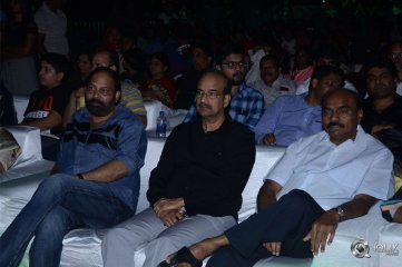 Naa Peru Surya Naa Illu India Pre Release Event Photos